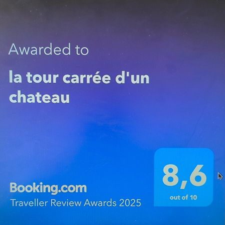 La Tour Carree D'Un Chateau Auzouer-en-Touraine Ngoại thất bức ảnh